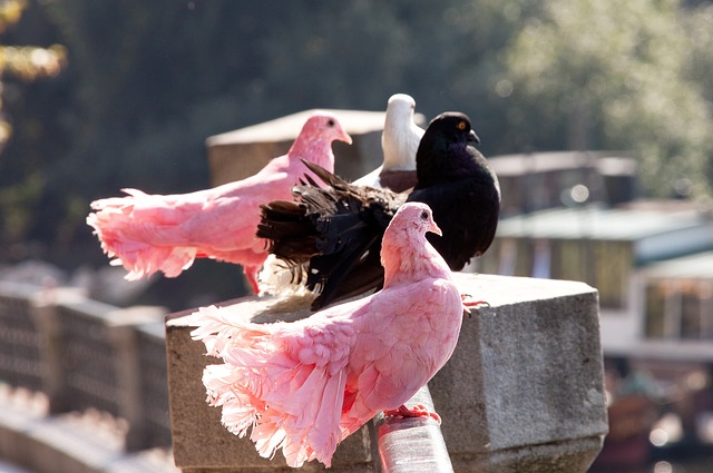 维拉蒂：不排除明年去意甲首次效力，我会在年底看看情况