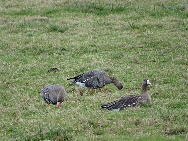 足球报：亚泰这几年都是寅吃卯粮，意向球员听说后婉拒邀请